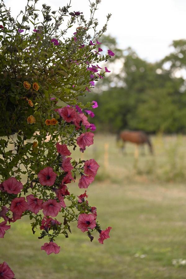Sweet Pea Cabin Badsey Dış mekan fotoğraf