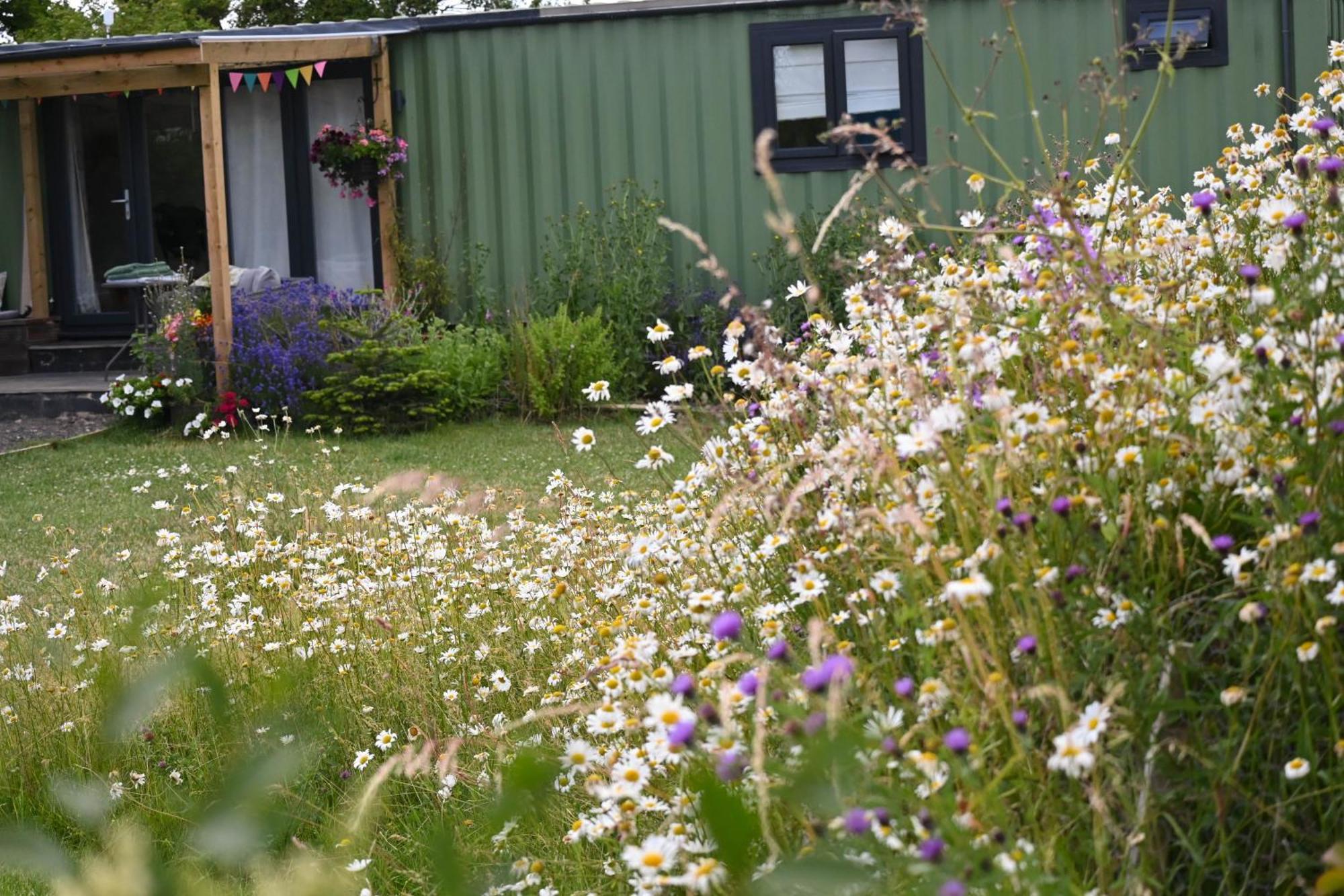 Sweet Pea Cabin Badsey Dış mekan fotoğraf